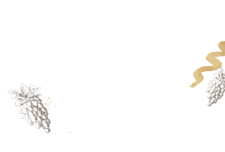 ExpertDemo1Img